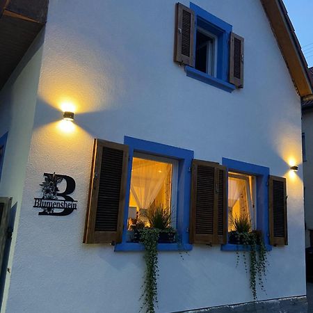 Ferienwohnung Blumenshein Bei Speyer Karlsruhe Familienfreundlich 5 Pers Zeiskam Luaran gambar